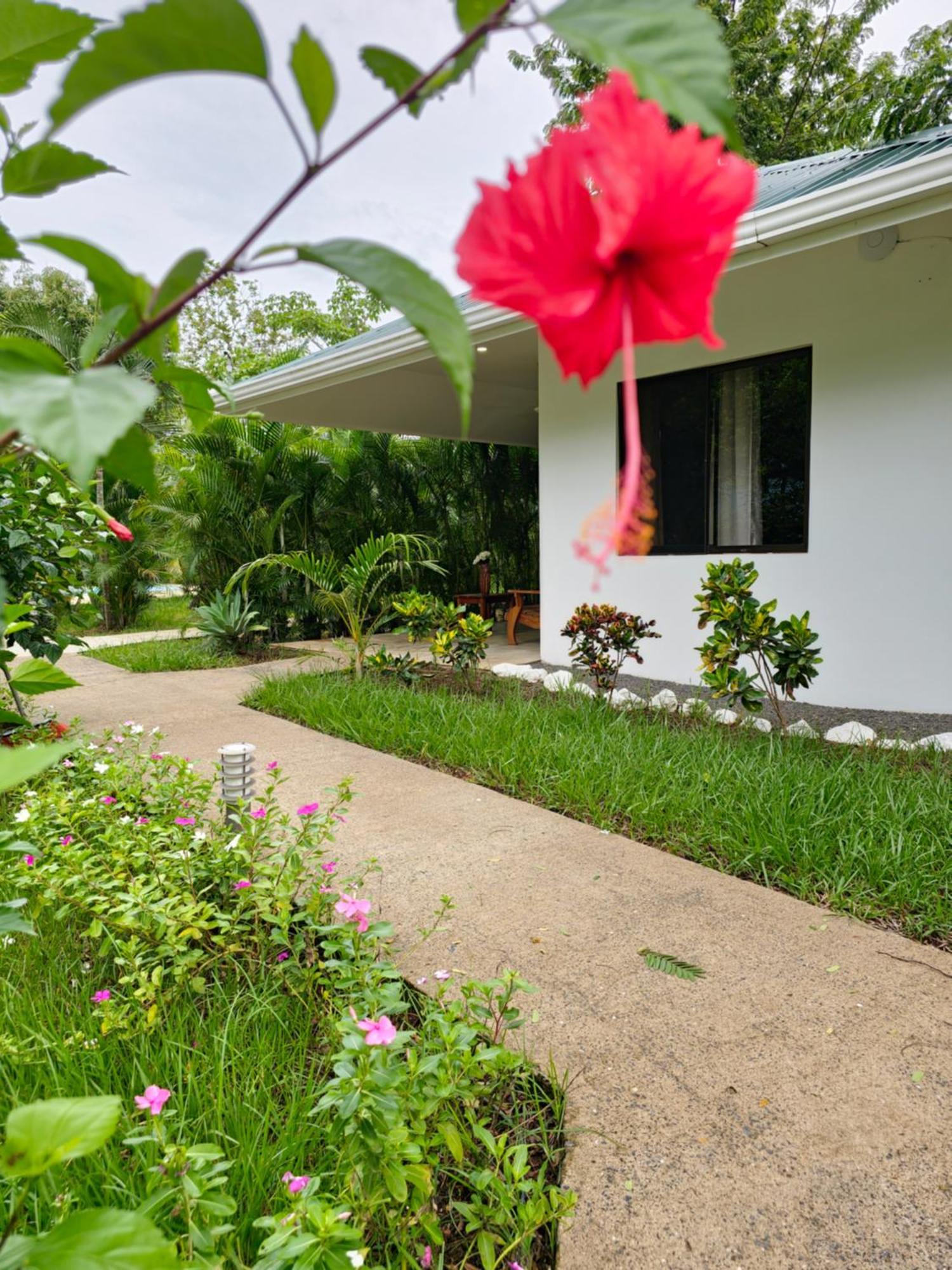 Buddha Retreat Hotel San Juanillo Exterior photo